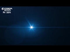 شرکت صنعتی فدرال-موگول گوانگ‌دونگ، با مسئولیت محدود